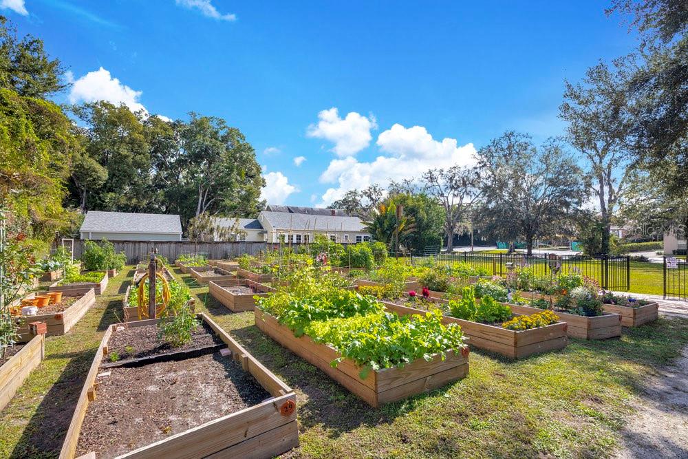 Image 72 of 84 For 1002 Robinson Street