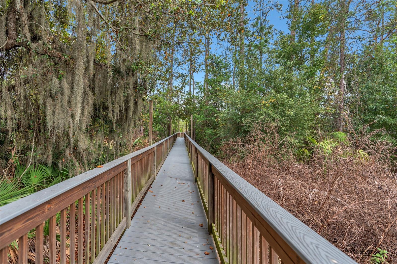 Image 66 of 70 For 2908 Banana Palm Drive