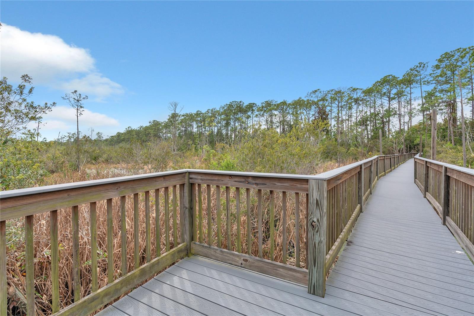 Image 67 of 70 For 2908 Banana Palm Drive