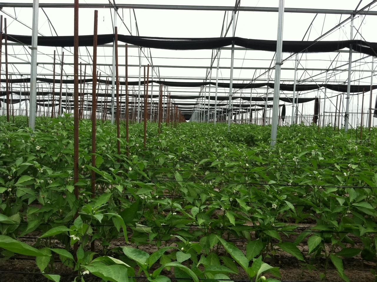 Image 5 of 9 For 6150 Pringle Lane