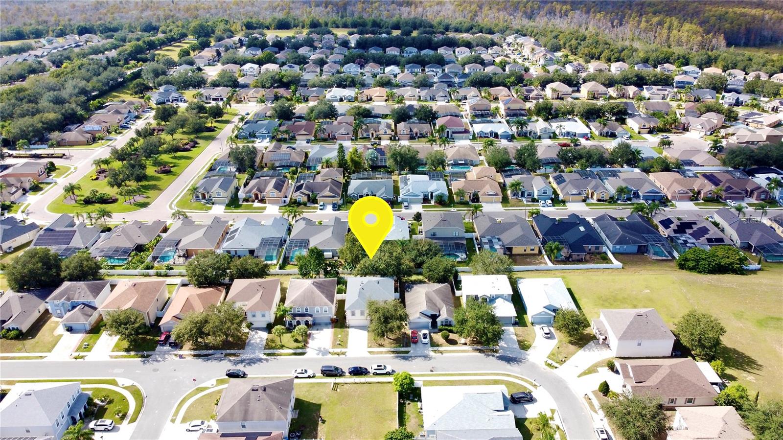 Image 33 of 53 For 329 Blake Avenue