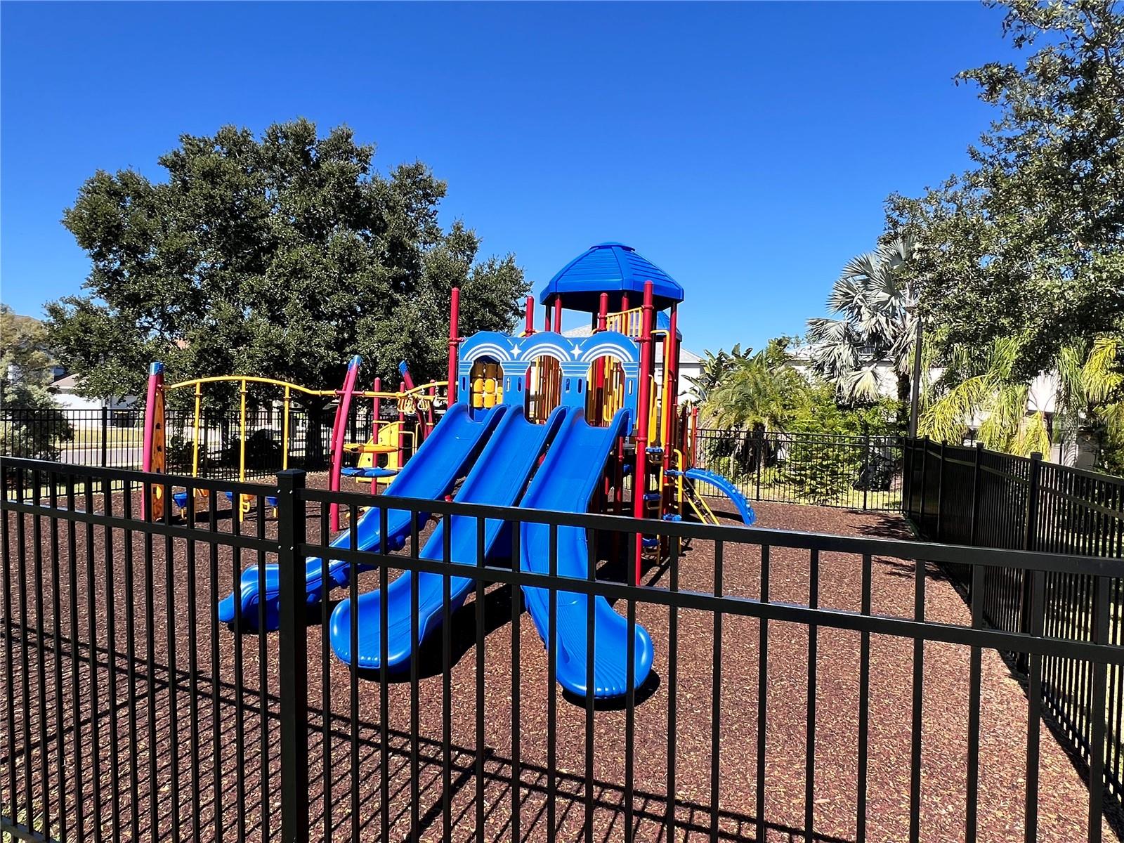 Image 39 of 53 For 329 Blake Avenue