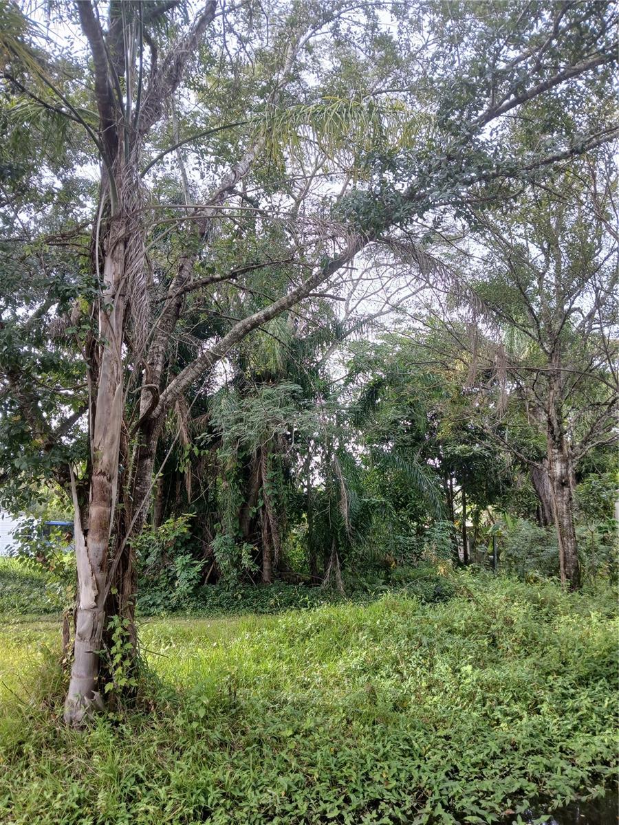 Image 3 of 8 For 18565 16th Avenue E