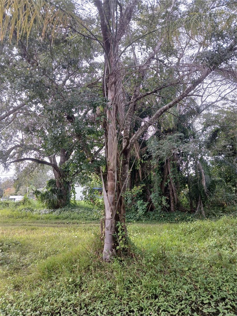 Image 4 of 8 For 18565 16th Avenue E