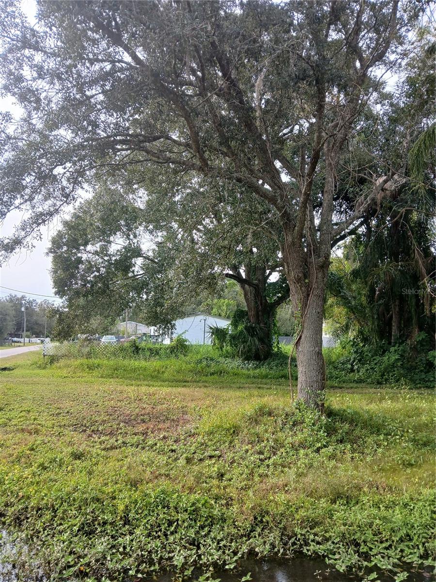 Image 5 of 8 For 18565 16th Avenue E