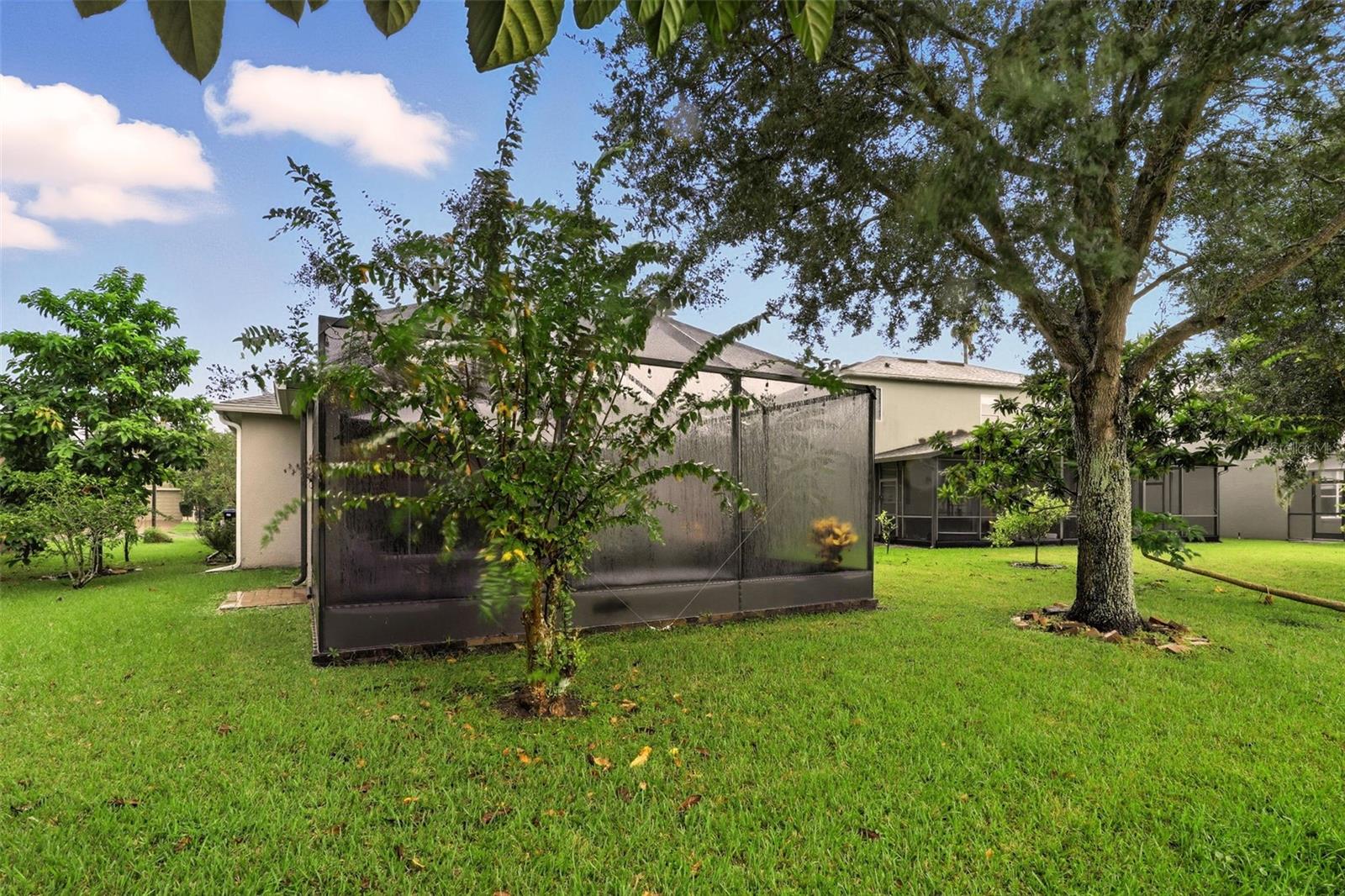 Image 32 of 36 For 759 Bella Vida Boulevard