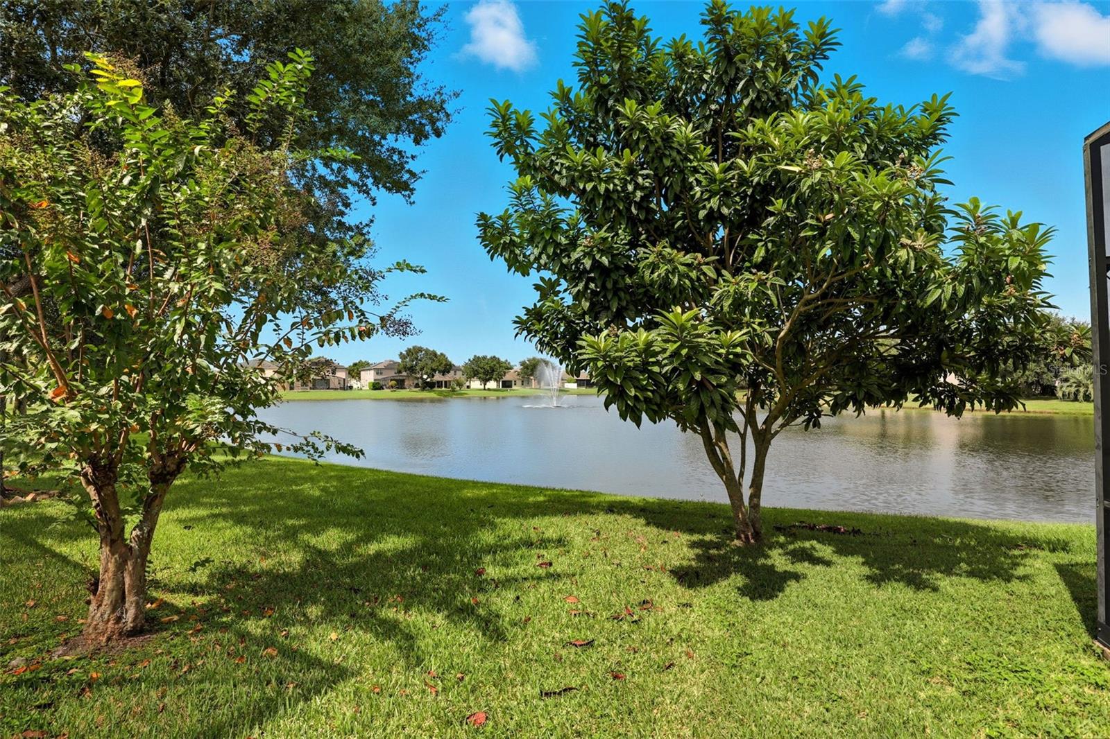 Image 33 of 36 For 759 Bella Vida Boulevard