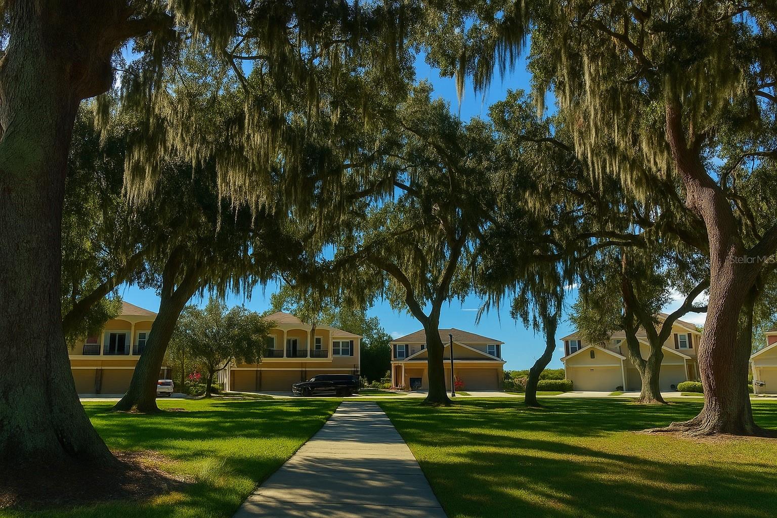 Image 6 of 24 For 1428 Scarlet Oak Loop