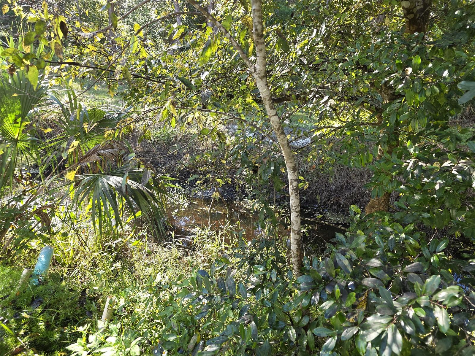 Image 58 of 68 For 1601 Big Tree Rd  901