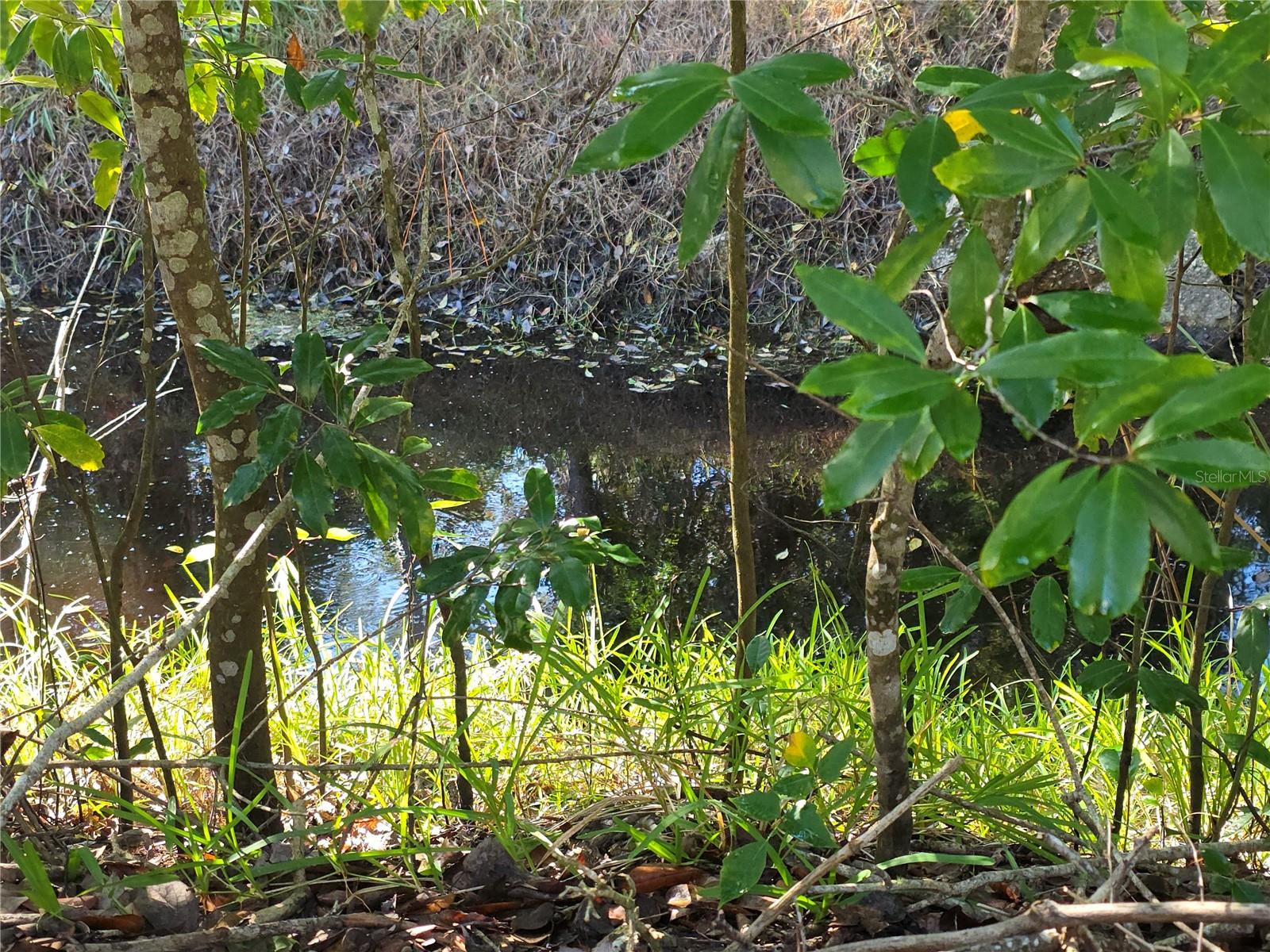 Image 59 of 68 For 1601 Big Tree Rd  901