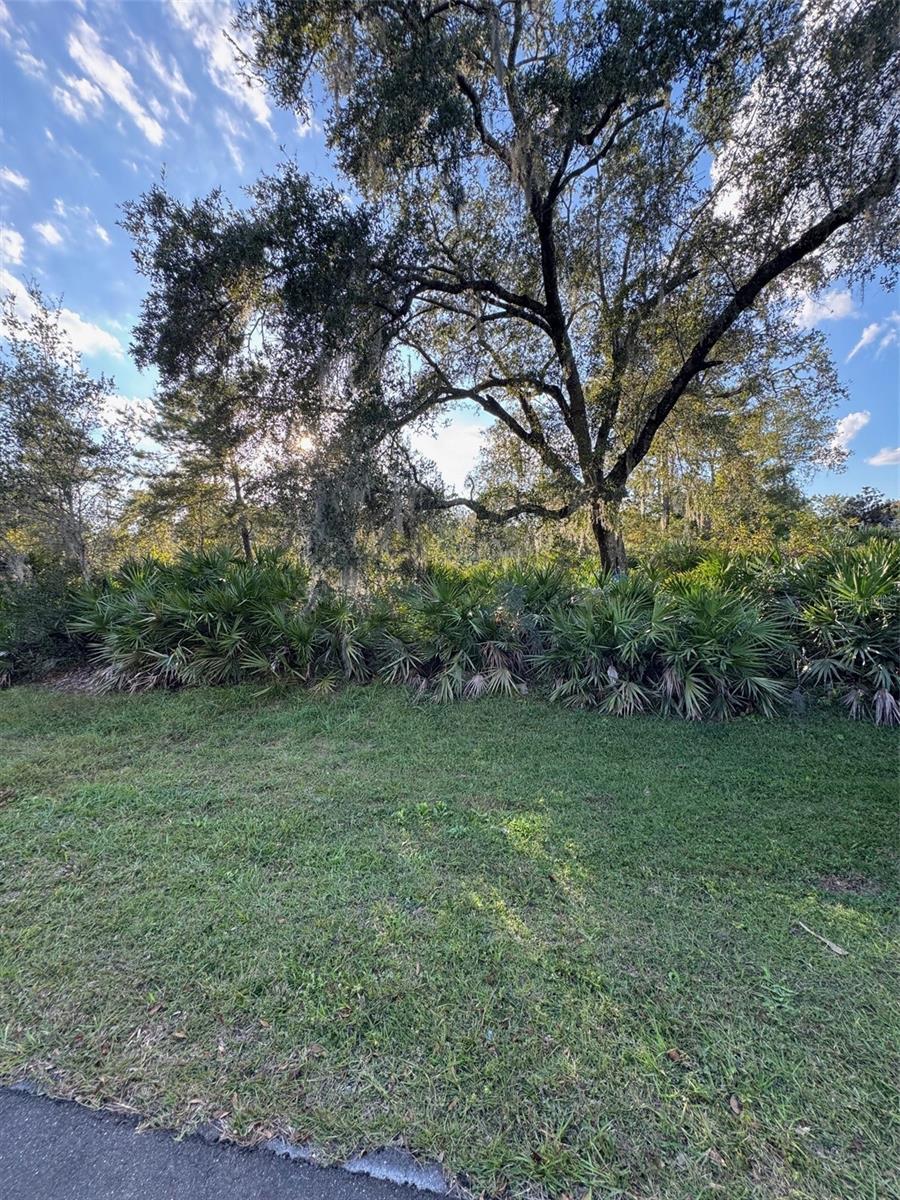 Details for  7th Avenue , DELAND, FL 32724