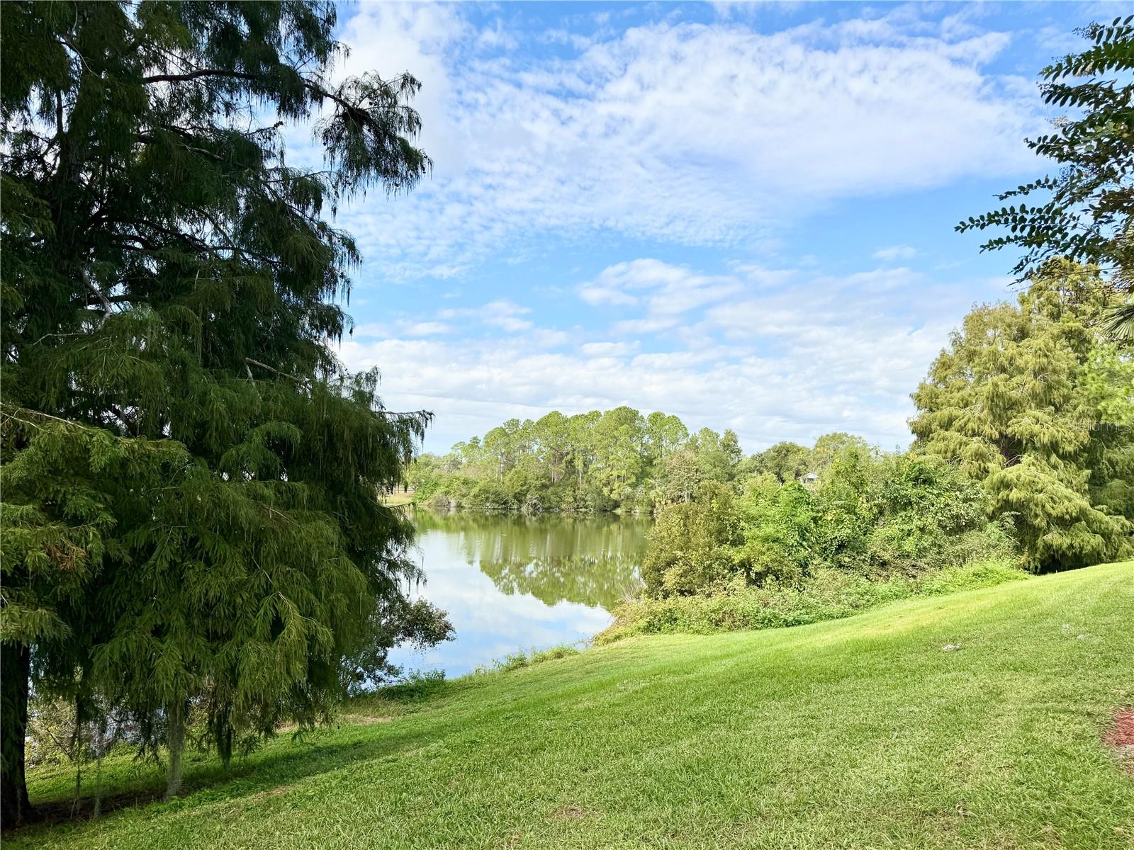 Image 19 of 23 For 2516 Grassy Point Drive 104