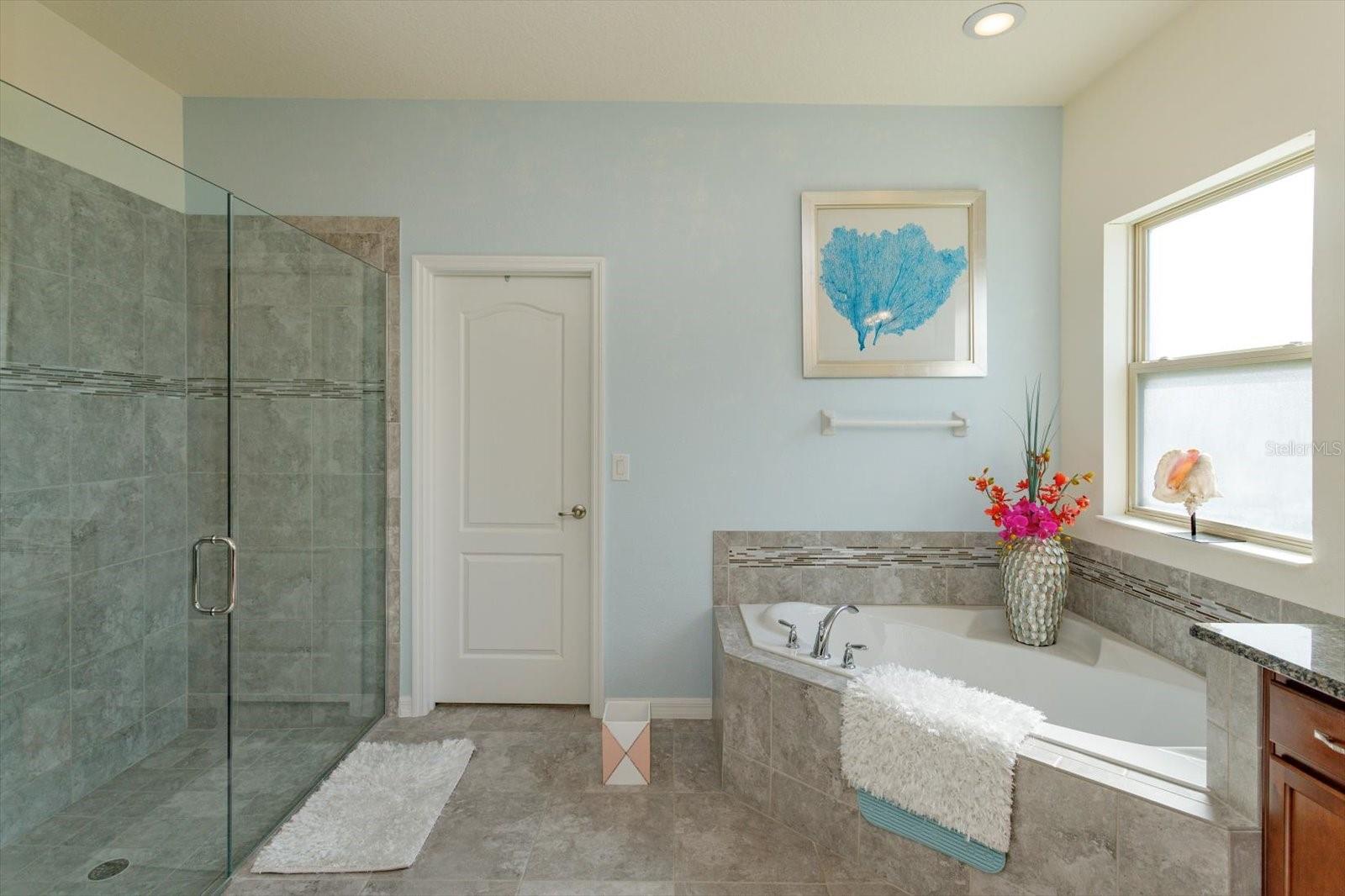 Image 9 of 35 For 2376 Timberhill Court