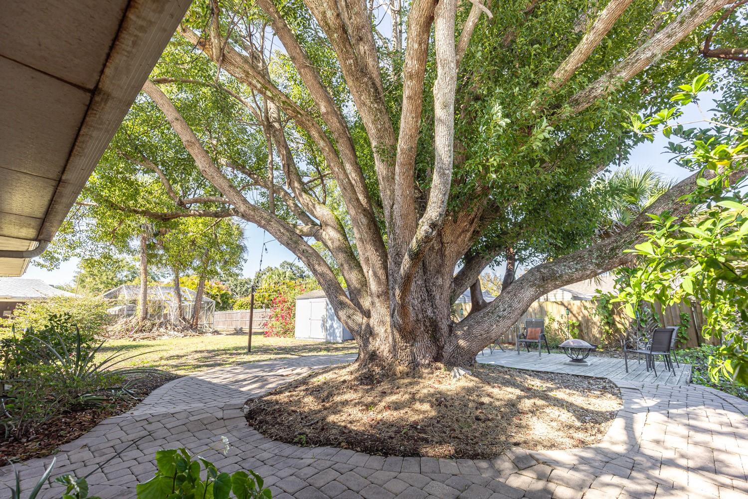 Image 25 of 41 For 8419 Cambay Avenue