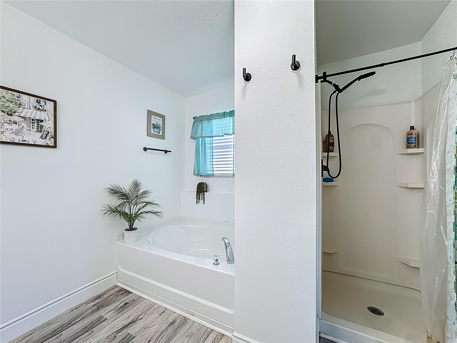 Image 53 of 71 For 13841 Chihuly Court