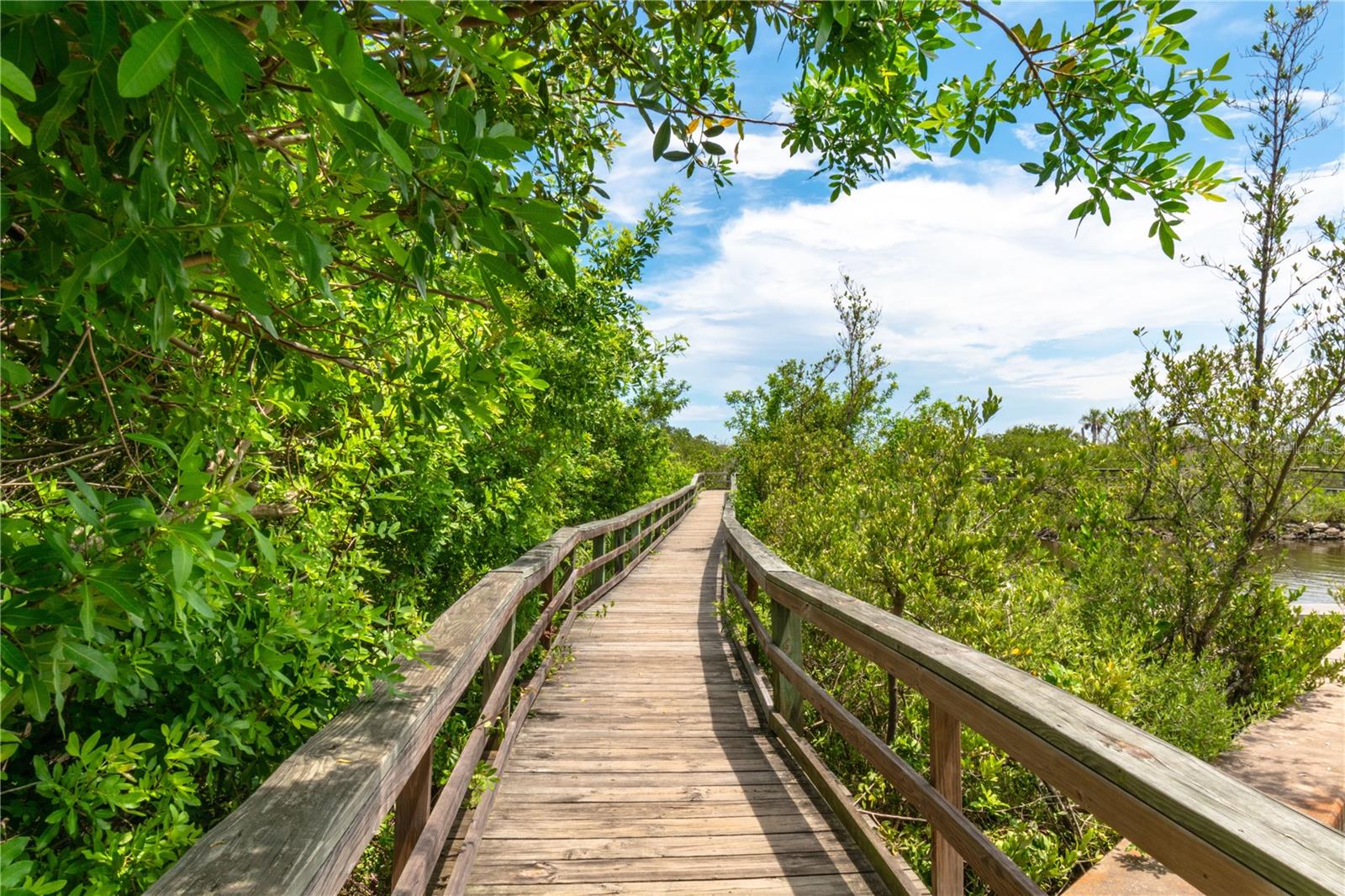 Image 38 of 55 For 3510 Ocean Shore Boulevard 109