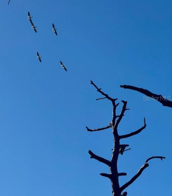 Image 18 of 22 For 5209 Western Drive