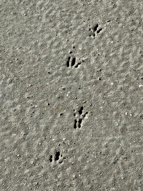 Image 22 of 22 For 5209 Western Drive