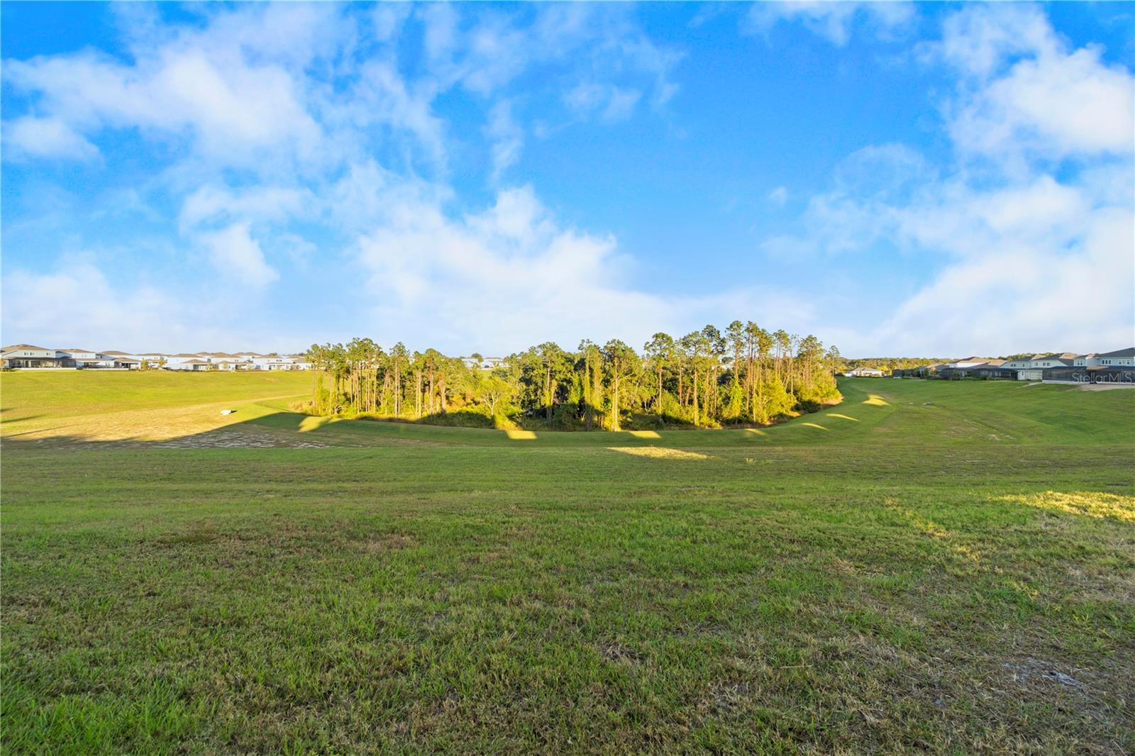 Image 52 of 59 For 15296 Willow Ridge Drive