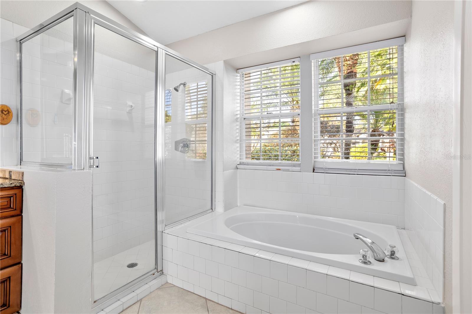 Image 9 of 20 For 982 Big Oaks Drive