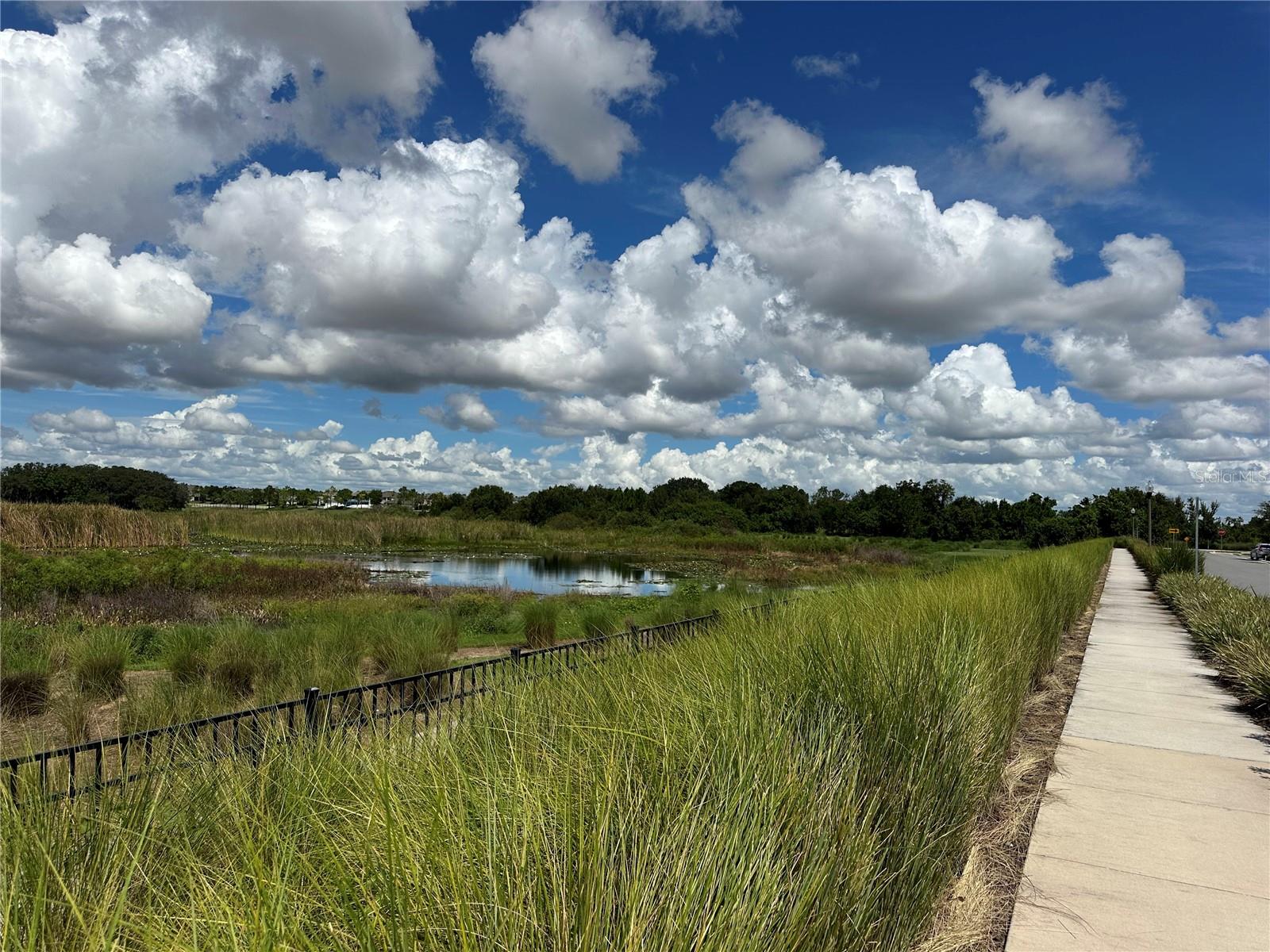 Image 25 of 28 For 7399 Mezzano Lane