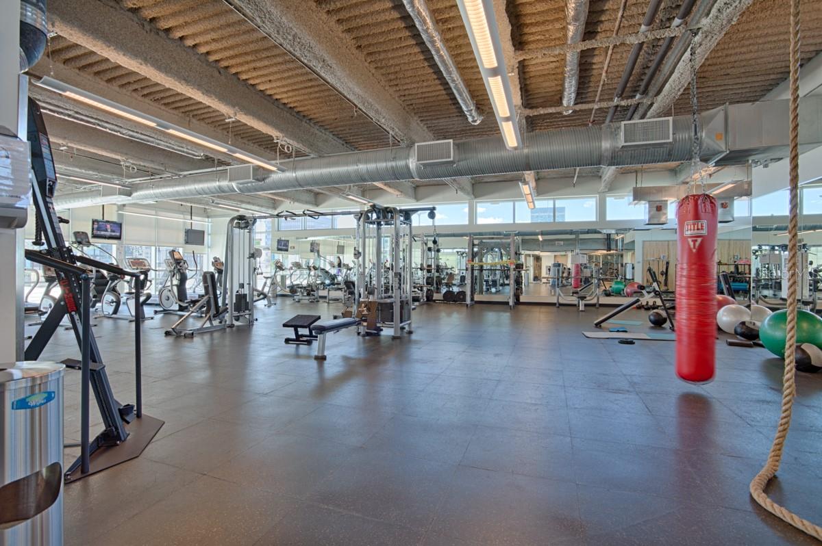 Image 54 of 58 For 150 Robinson Street 3504