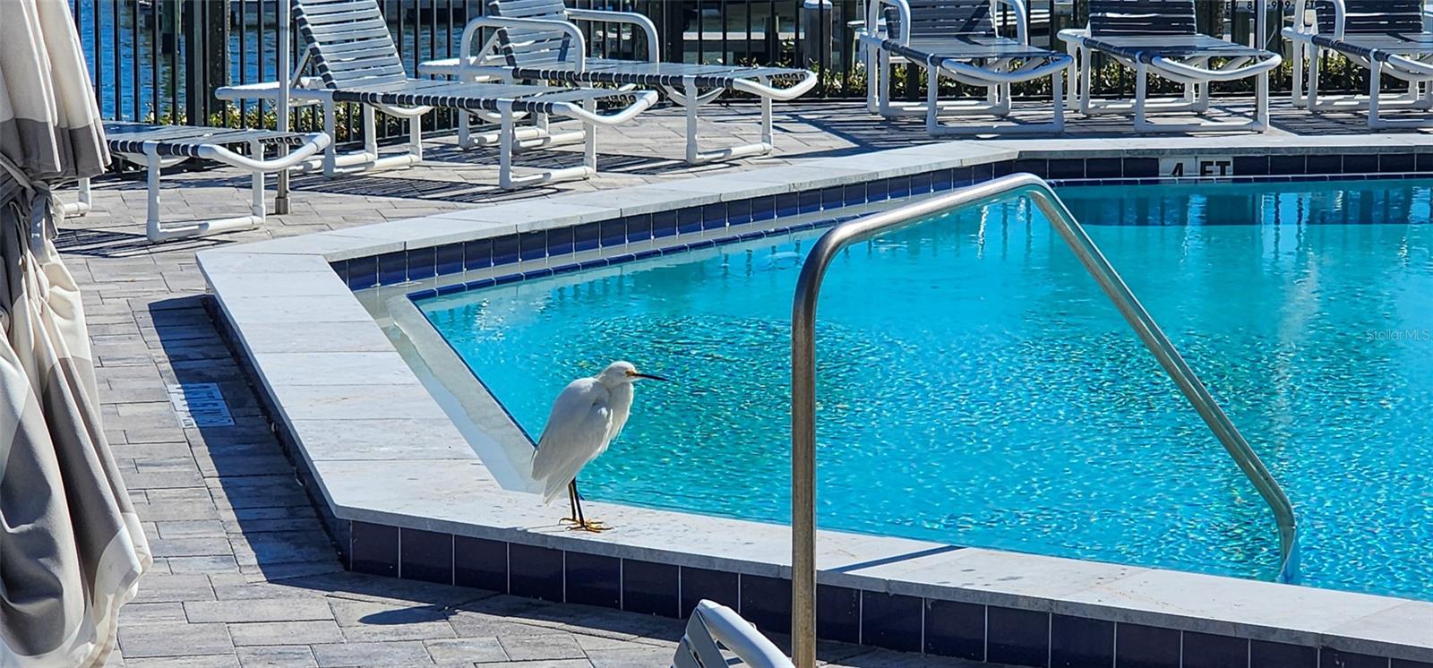 Image 65 of 75 For 501 Causeway  3070