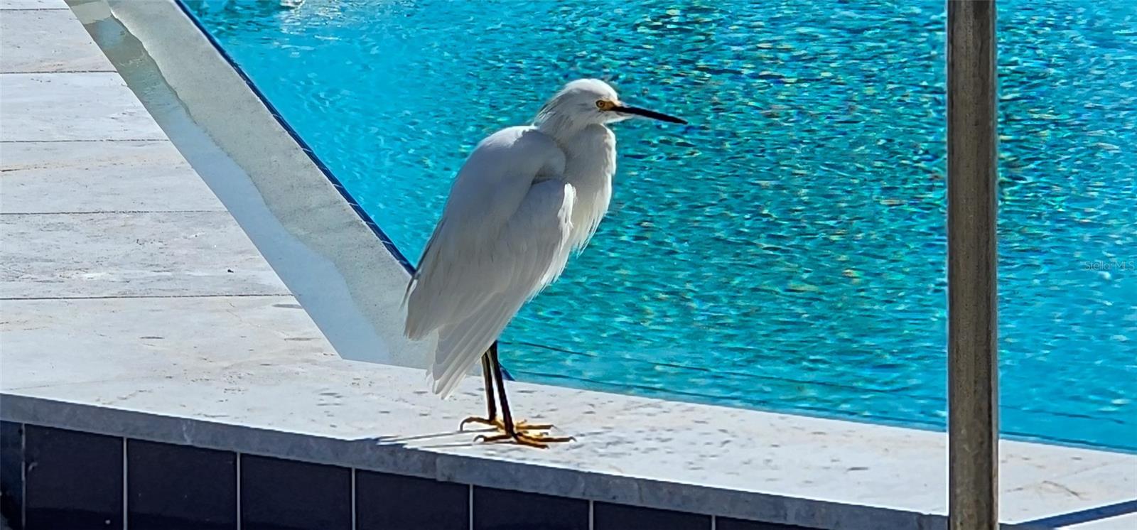 Image 66 of 75 For 501 Causeway  3070