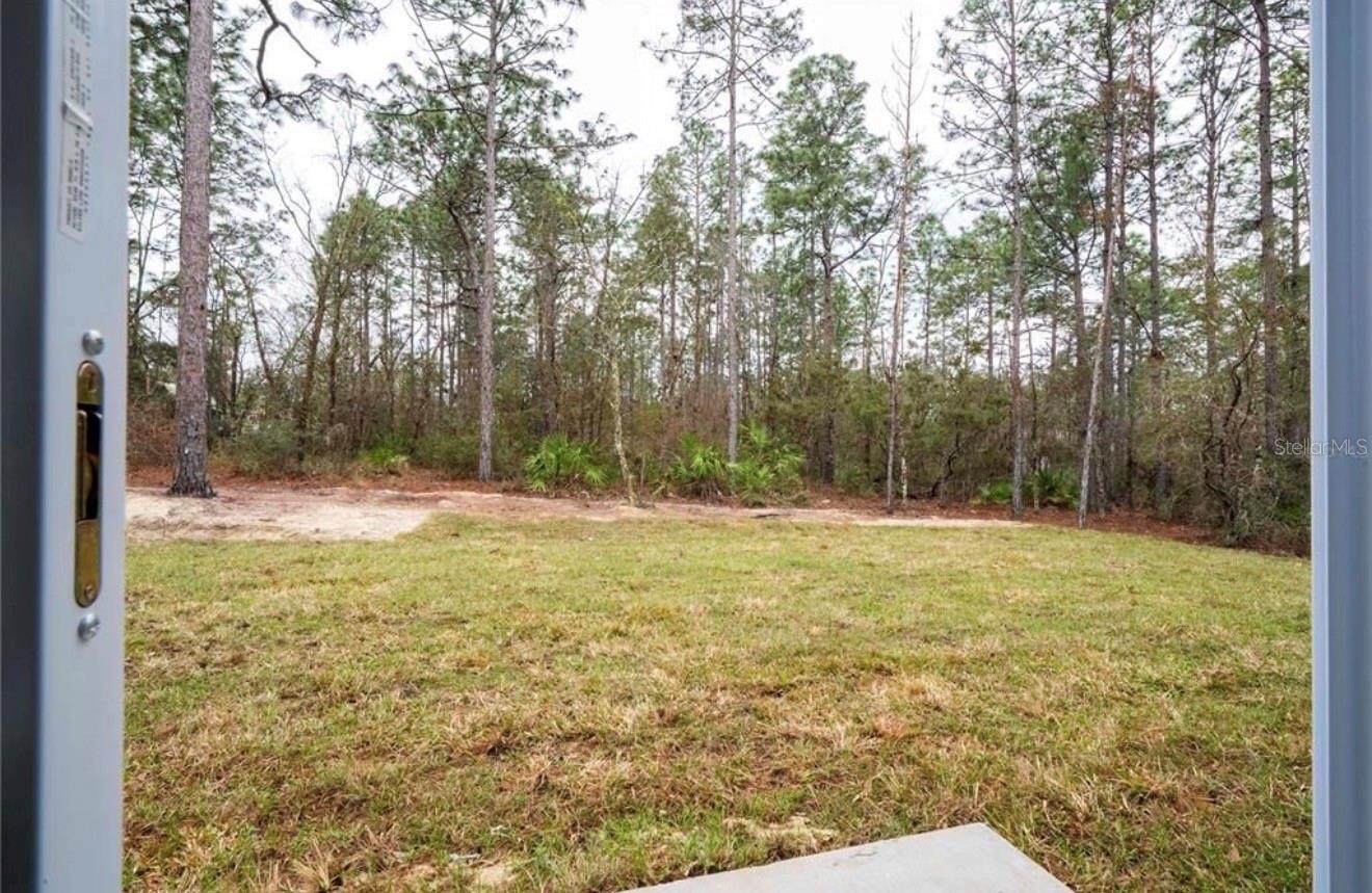 Listing photo id 41 for 3812 Eunice Drive