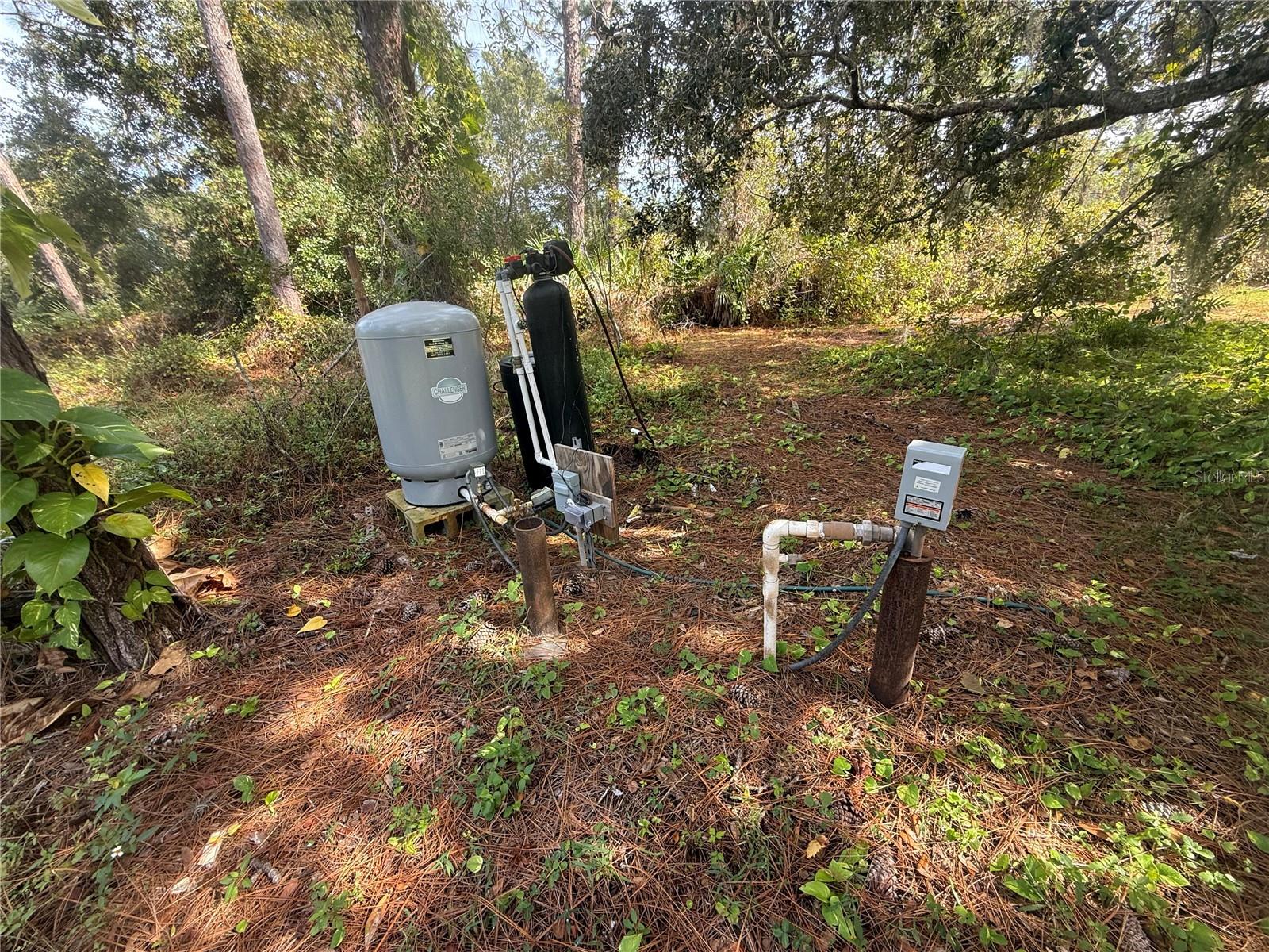 Image 42 of 47 For 19509 Sheldon Street