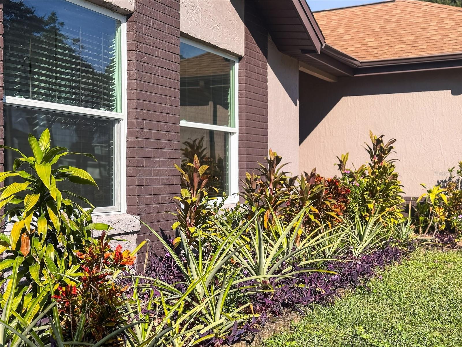 Image 4 of 42 For 5794 Grand Canyon Drive