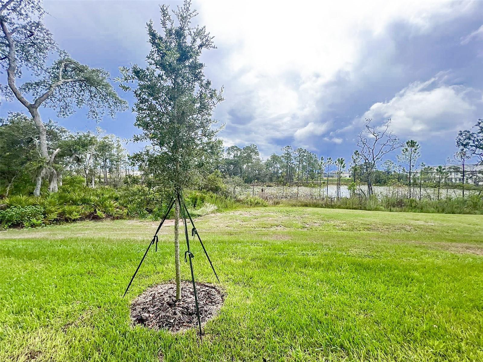 Image 20 of 30 For 868 Longboat Drive