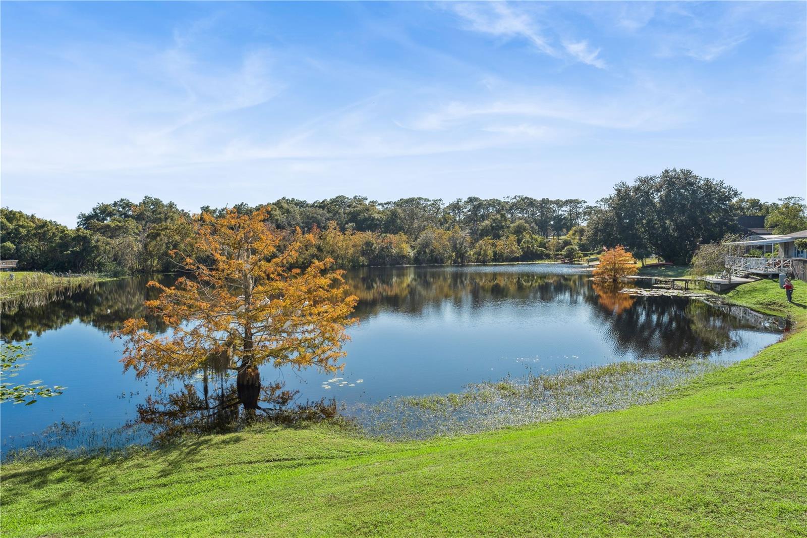 Image 35 of 43 For 1247 Marty Boulevard