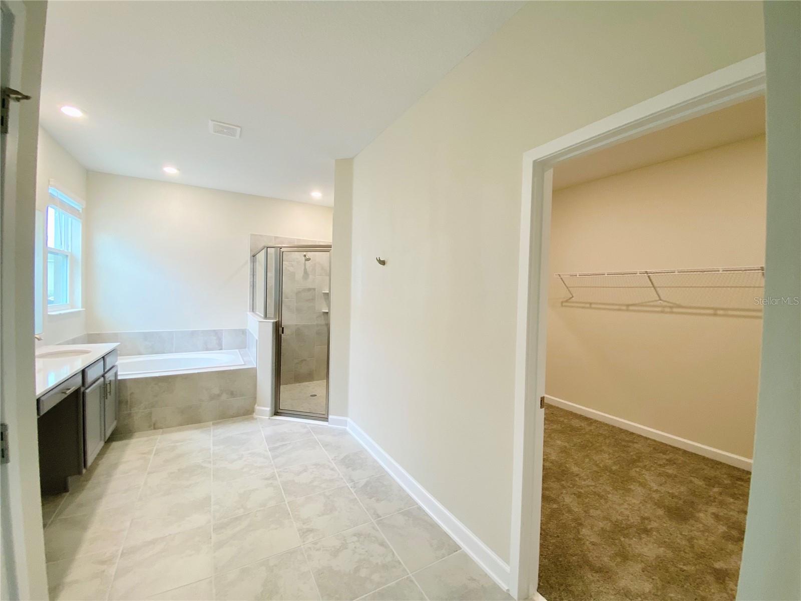 Image 19 of 35 For 2768 Norway Maple Court