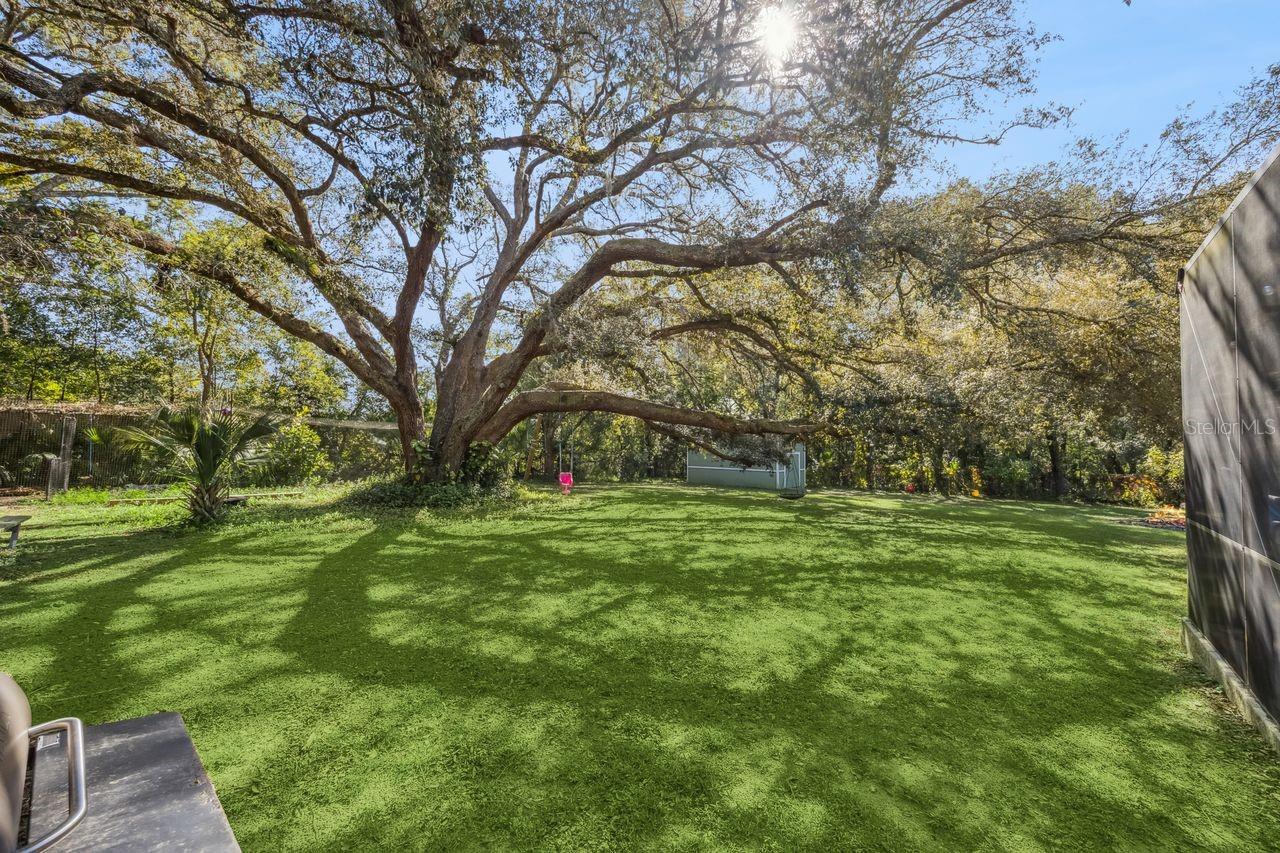 Image 41 of 52 For 23934 Wolf Branch Road