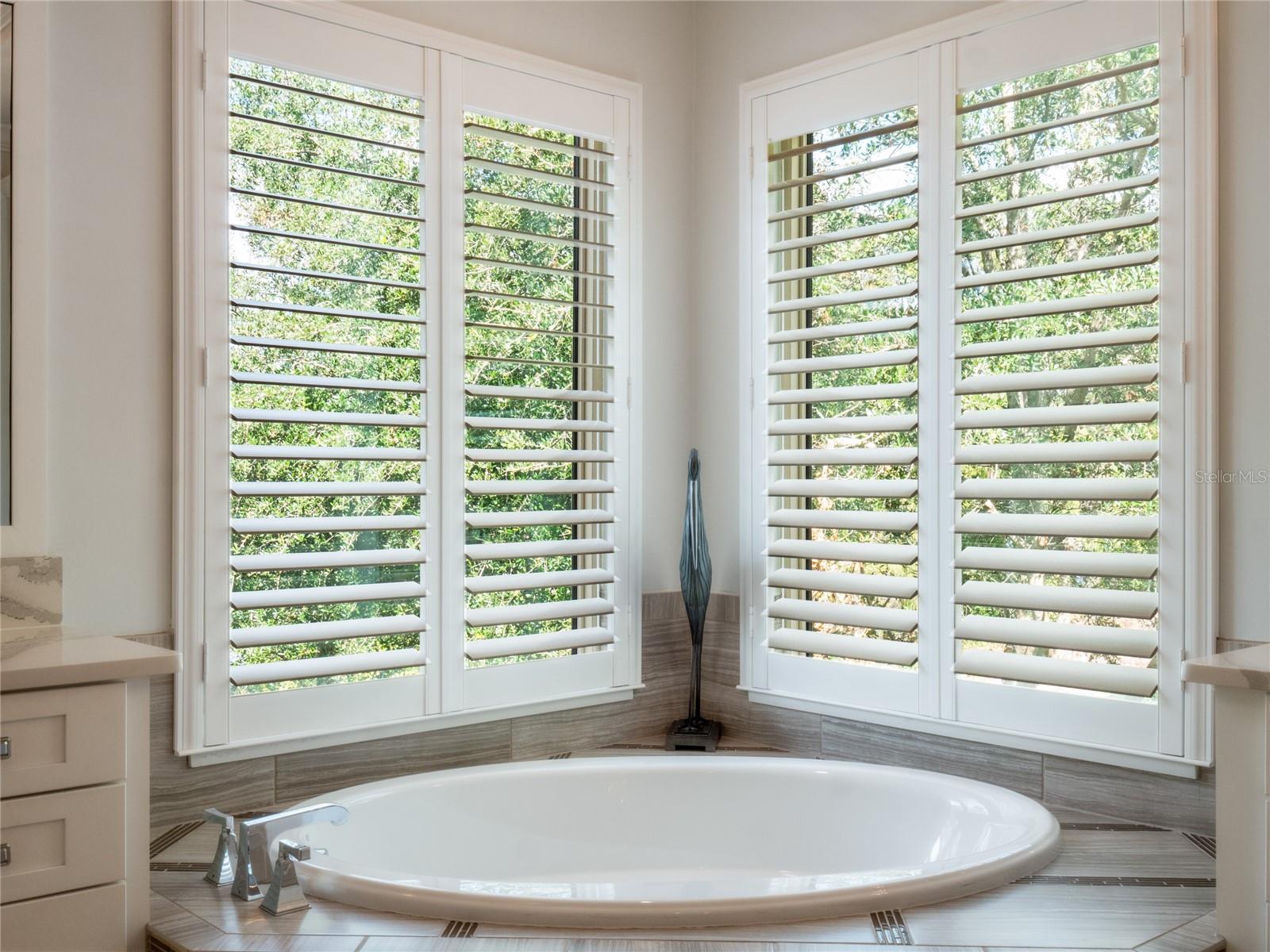 Image 20 of 66 For 10110 Royal Island Court