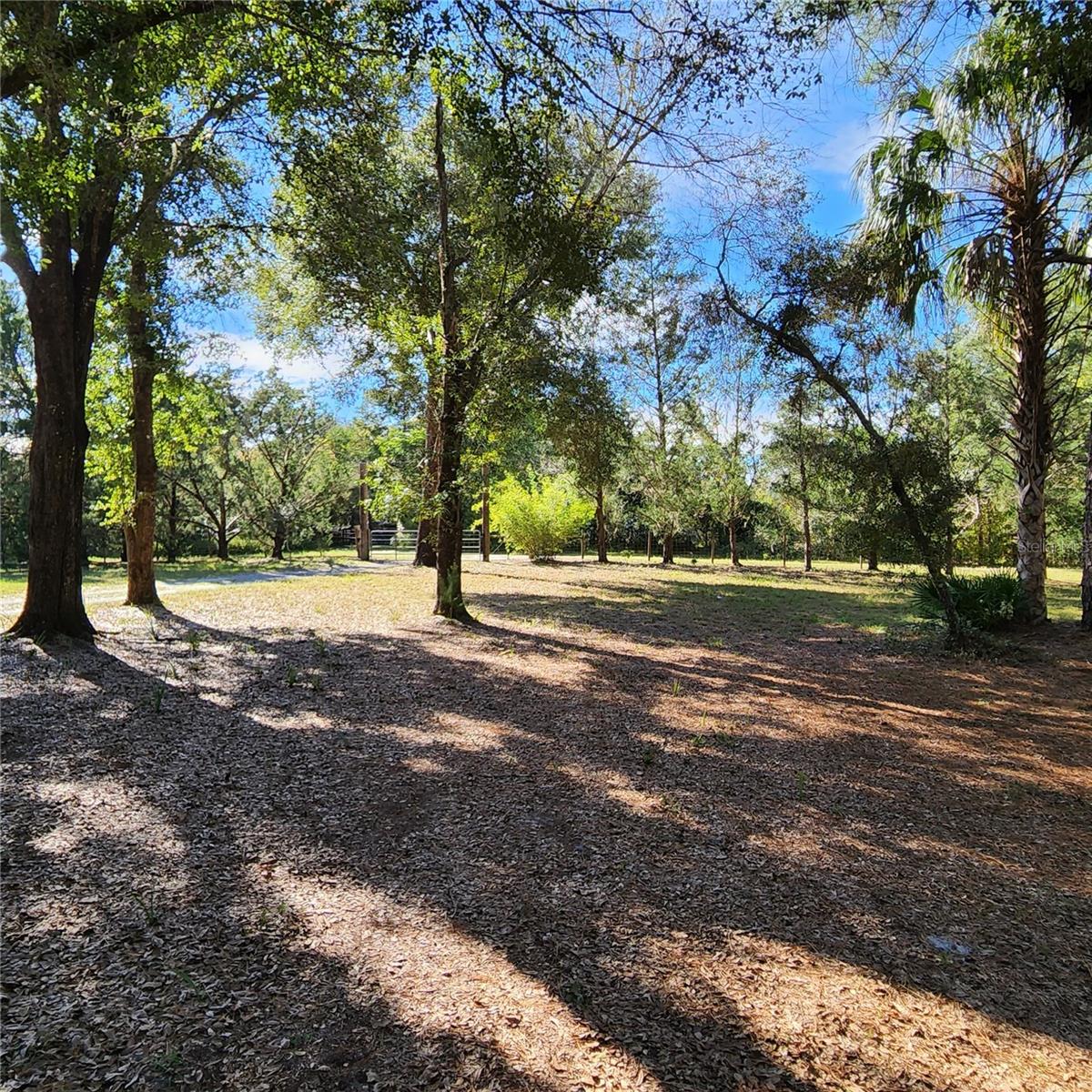 Image 45 of 94 For 38550 Ilex Trail