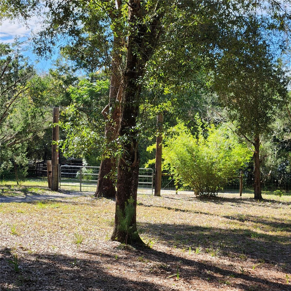 Image 46 of 94 For 38550 Ilex Trail