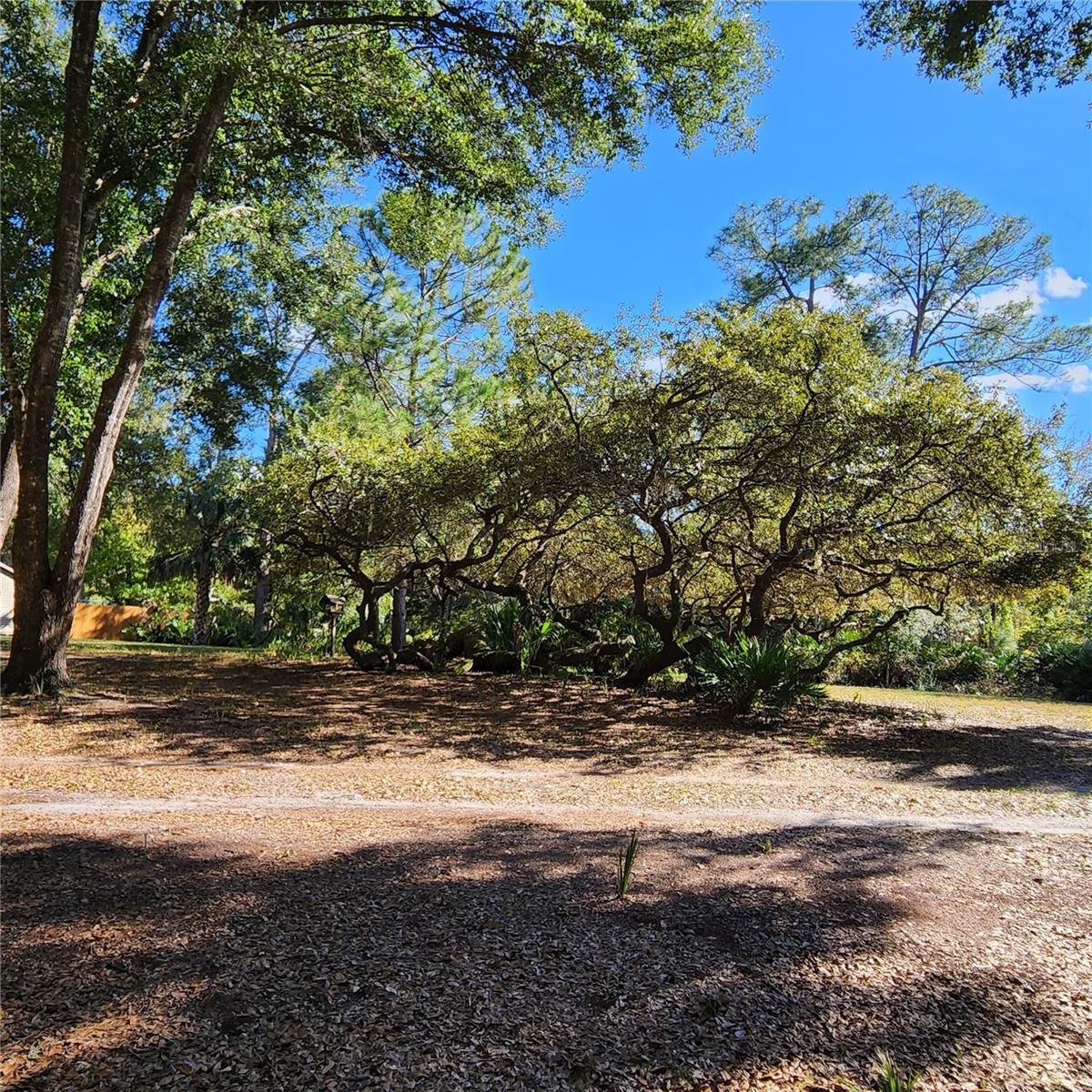 Image 49 of 94 For 38550 Ilex Trail