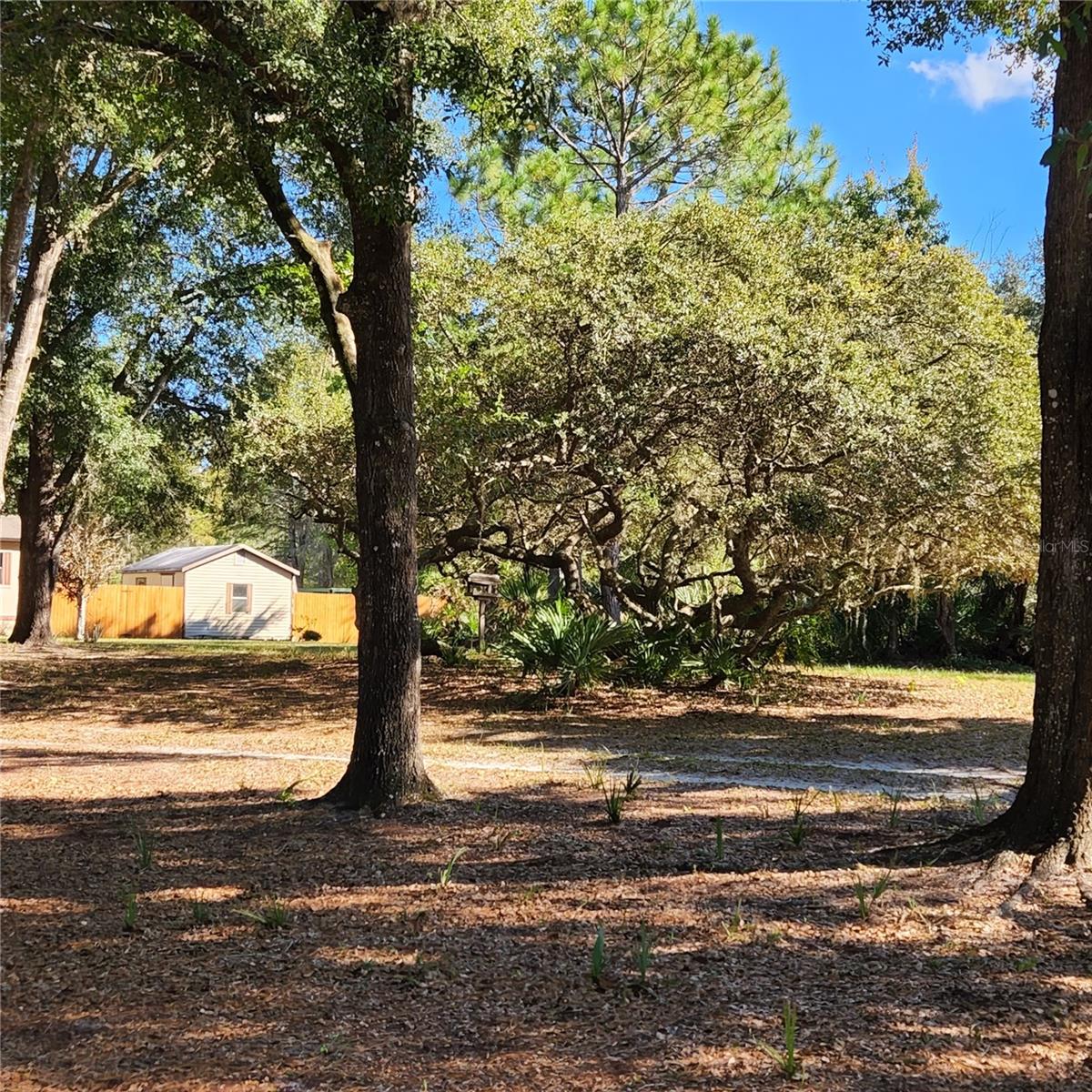 Image 50 of 94 For 38550 Ilex Trail