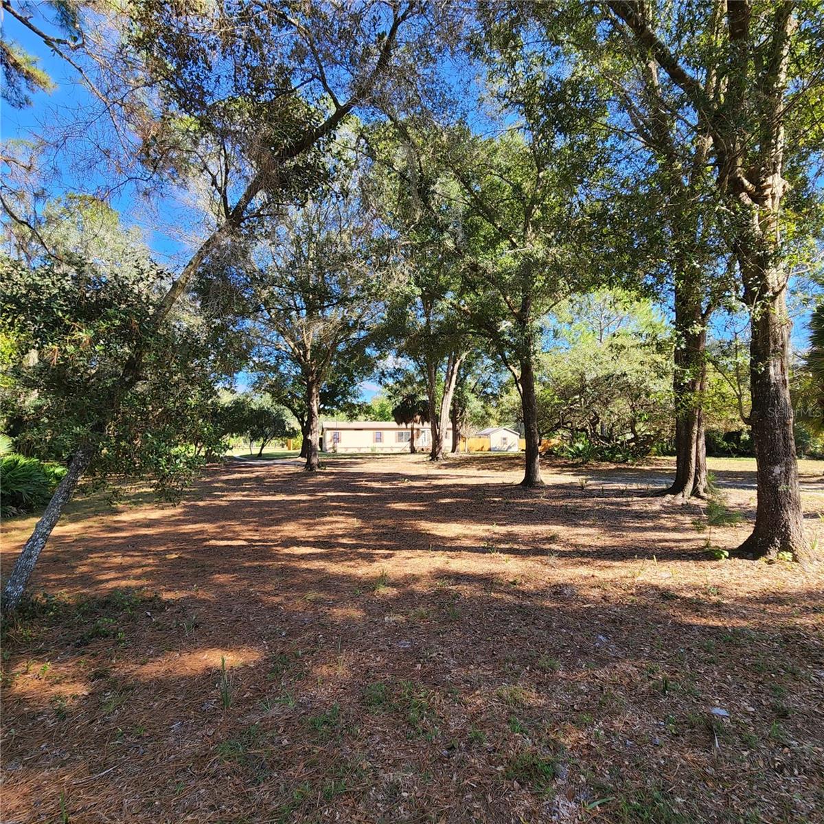 Image 51 of 94 For 38550 Ilex Trail