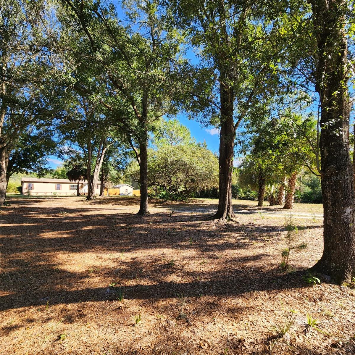 Image 52 of 94 For 38550 Ilex Trail