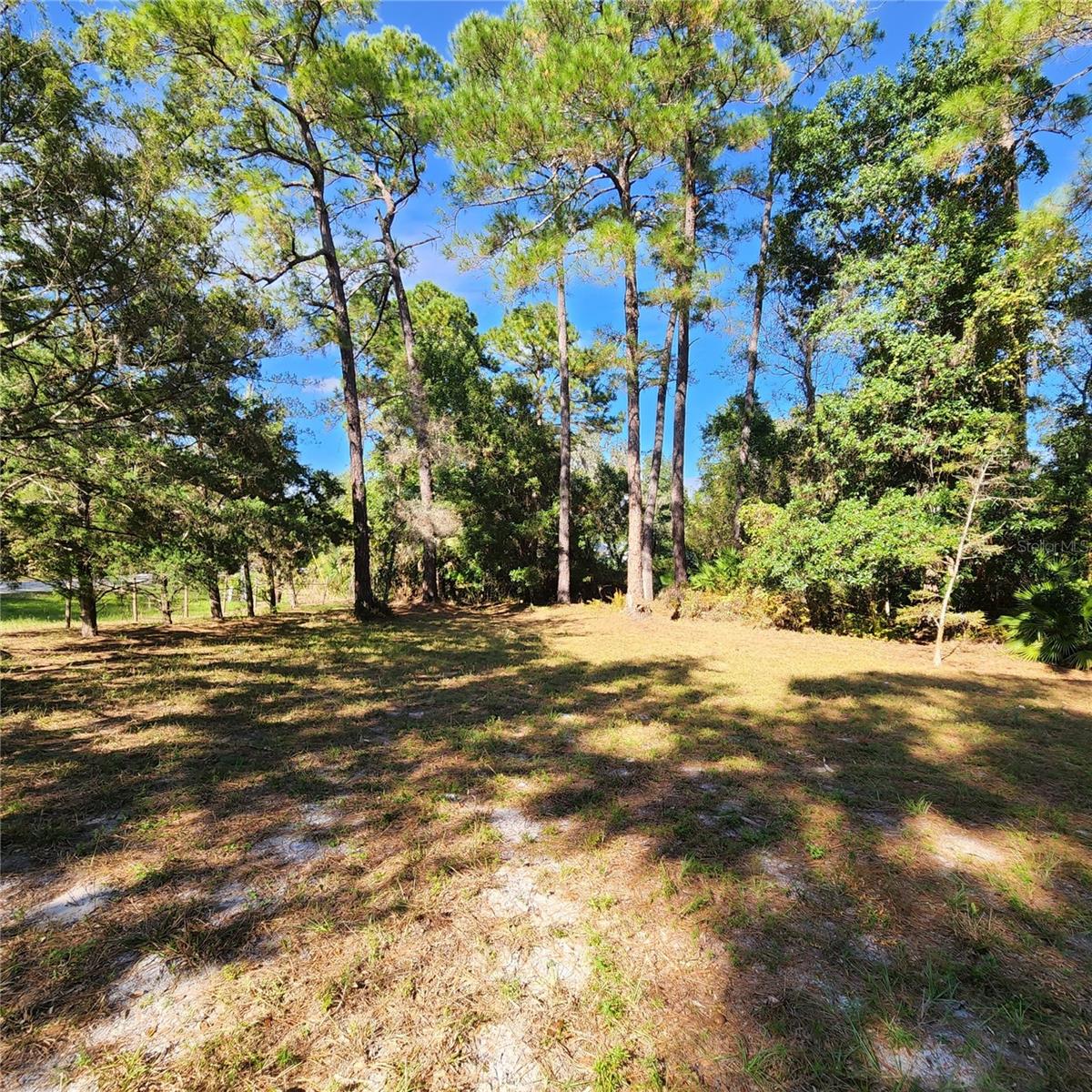 Image 53 of 94 For 38550 Ilex Trail