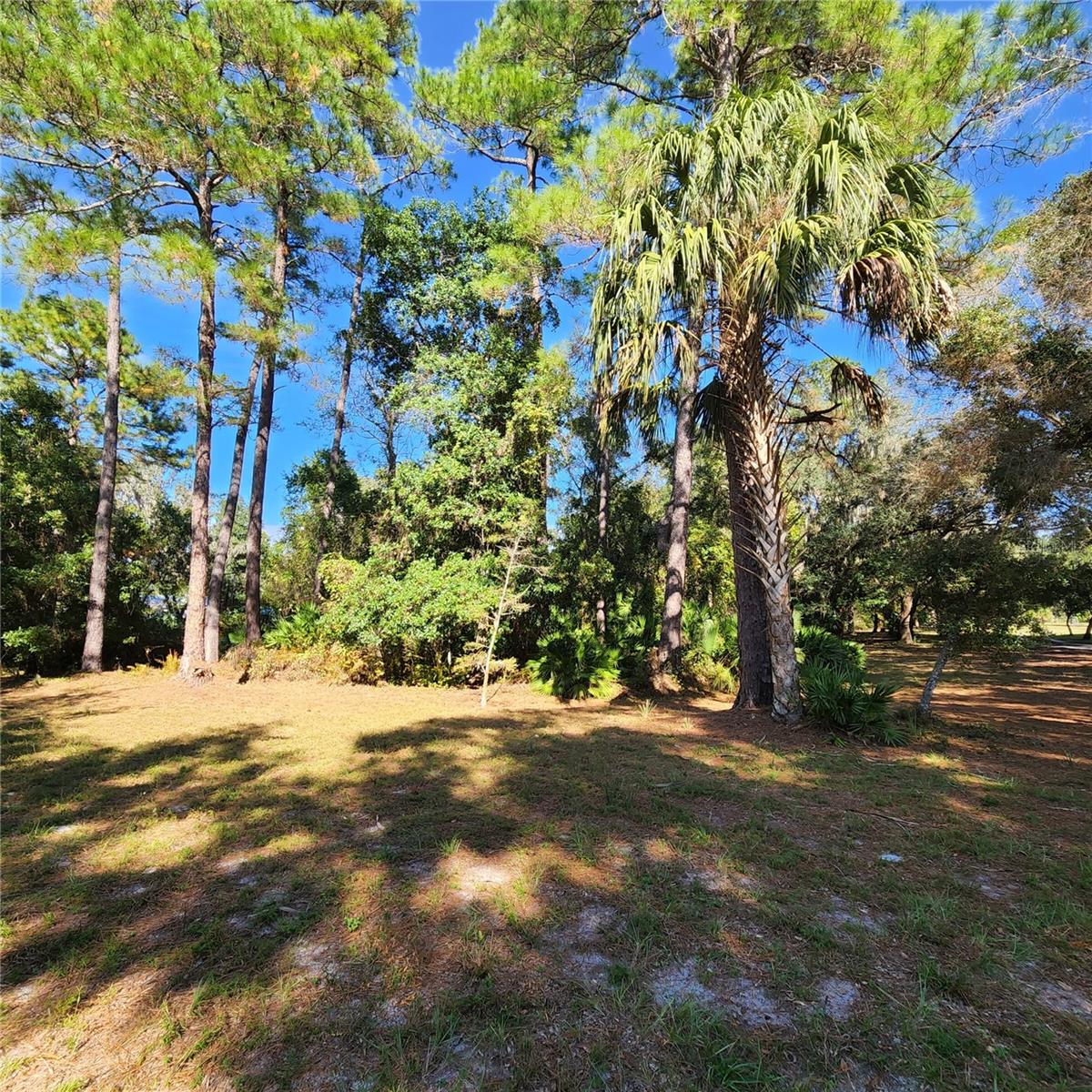 Image 54 of 94 For 38550 Ilex Trail