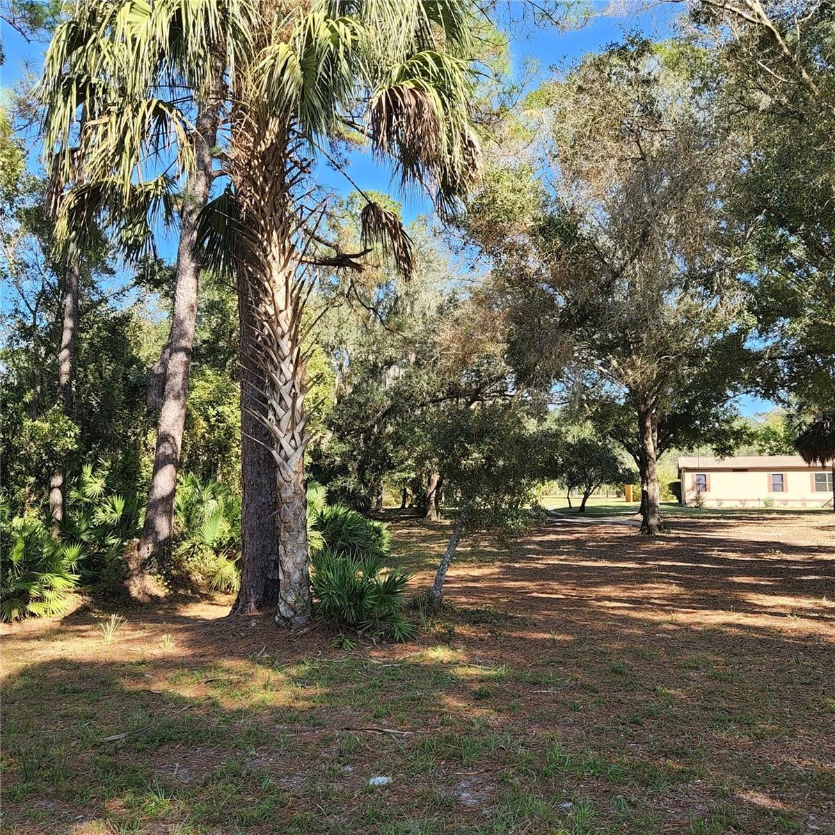 Image 56 of 94 For 38550 Ilex Trail