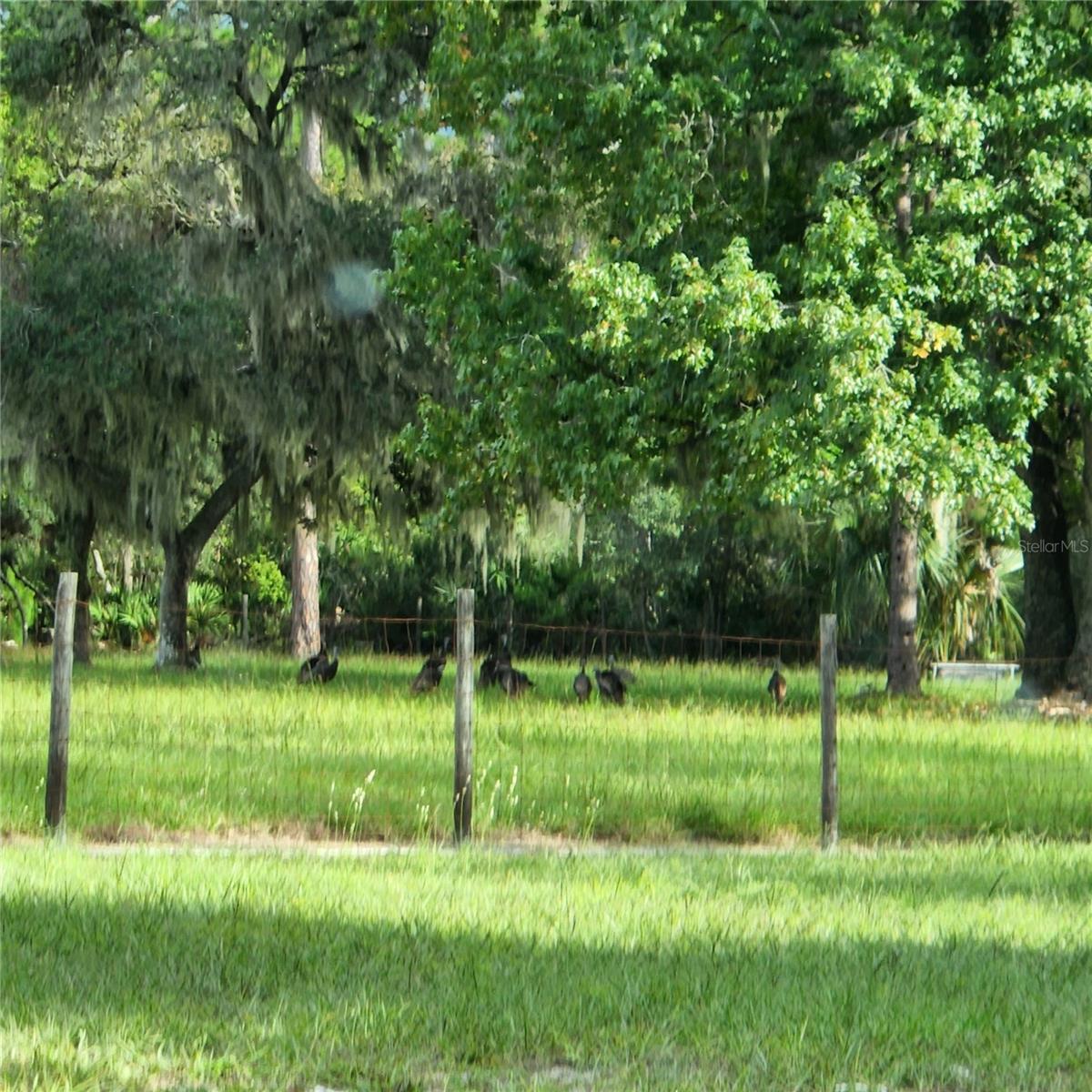 Image 77 of 94 For 38550 Ilex Trail