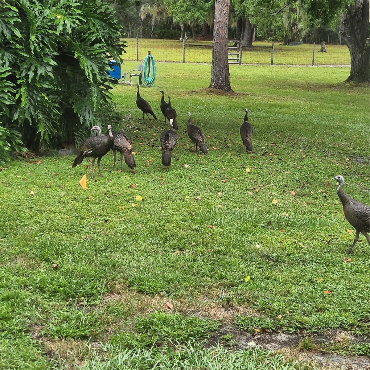 Image 78 of 94 For 38550 Ilex Trail