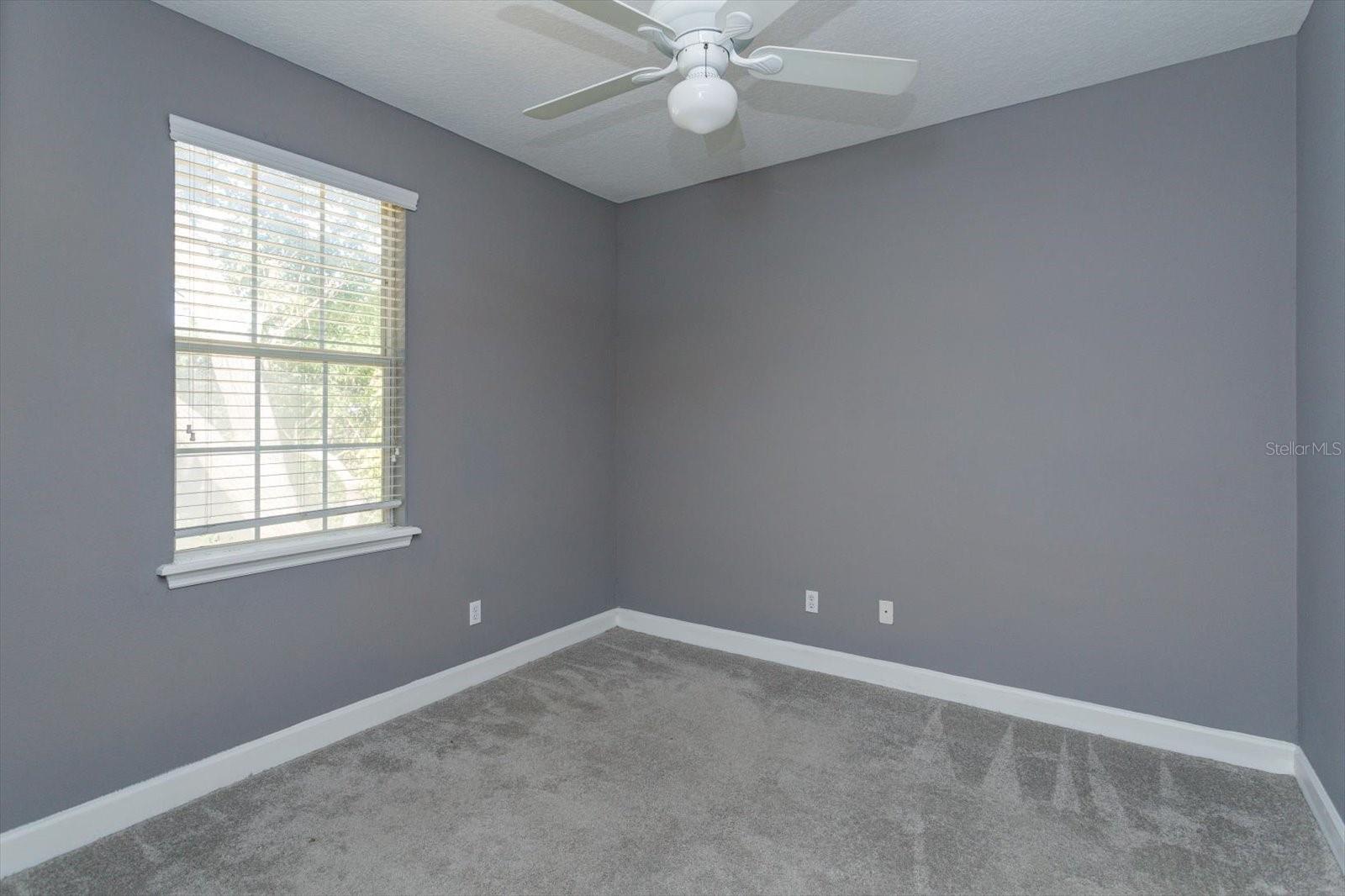 Image 16 of 24 For 41 Spruce Street