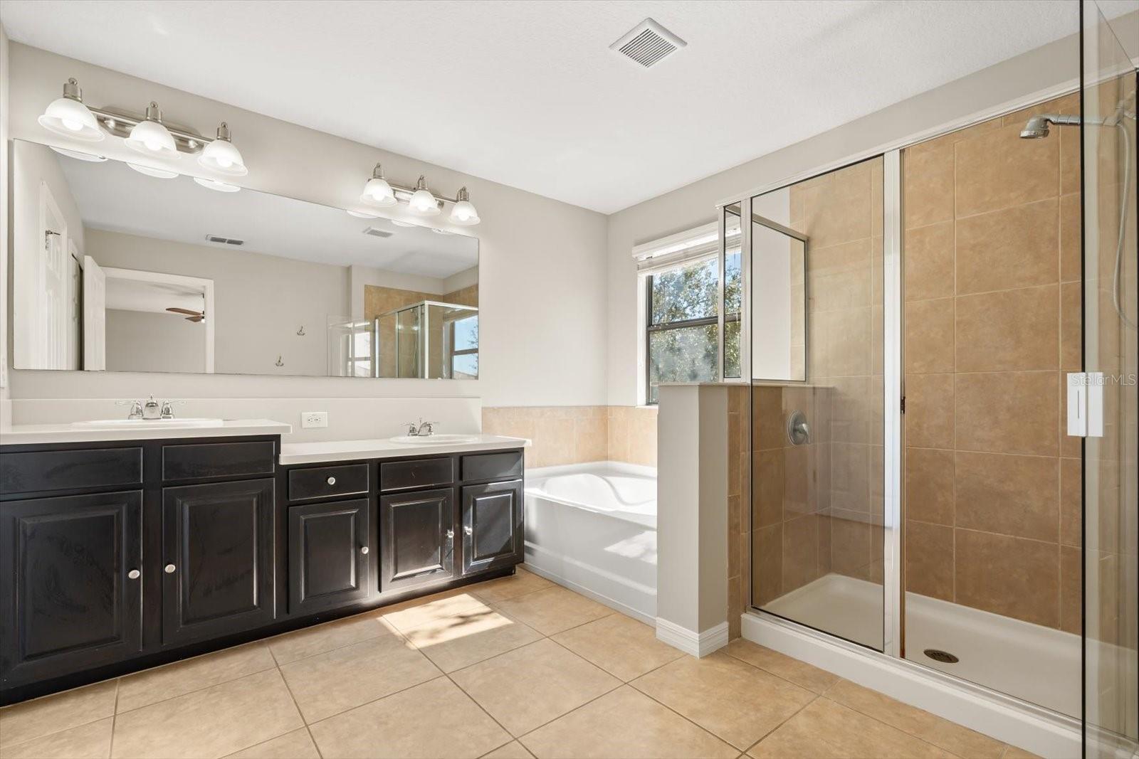 Image 17 of 45 For 293 Horsemint Lane