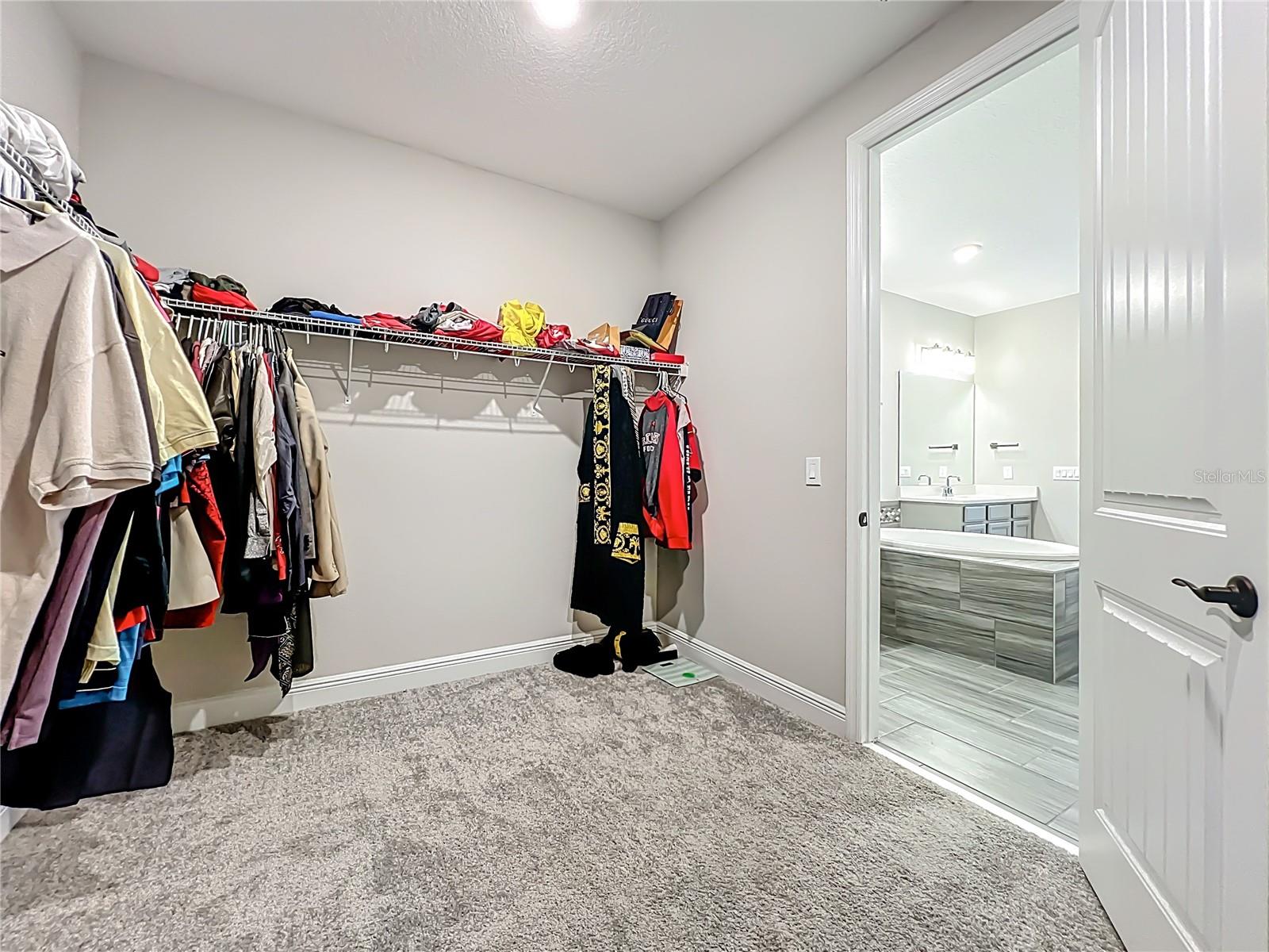 Image 58 of 72 For 9929 Summerlake Groves Street